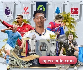 open-mile.com APP